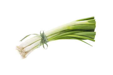 Green Spring onion tied with green ribbon, isolated
