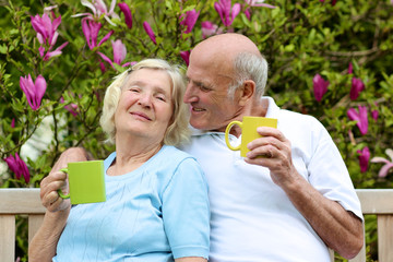 Loving senior couple drinking tea sitting in blooming garden