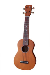 The image of a hawaiian guitar