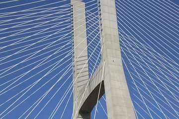 Foto auf Acrylglas Ponte Vasco da Gama Detail of a cable-stayed bridge