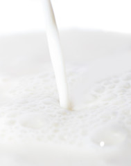 beautiful background of white milk