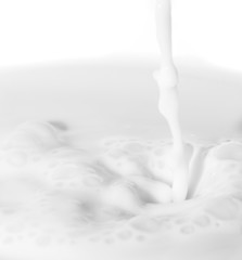 beautiful background of white milk