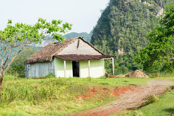 Fototapeta na wymiar Rural scene with a rustic house at the Vinales Valley in Cuba