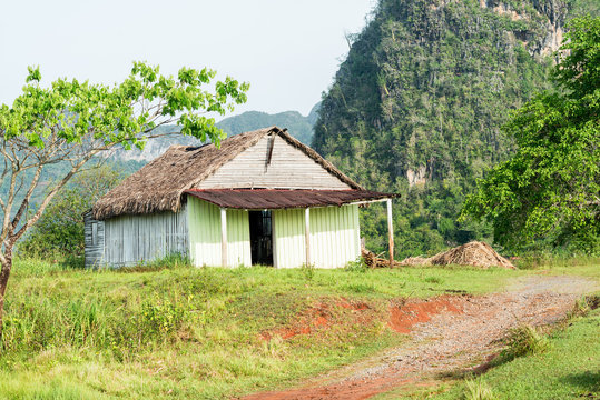 Rural scene with a rustic house at the Vinales Valley in Cuba