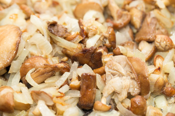 mushrooms and onions