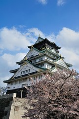 osaka castle with the cherry blossoms