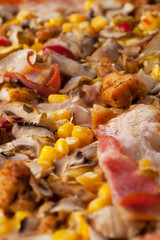 Fresh tasty pizza close up with sausage, corn, pepper and cheese