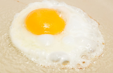 fried egg in a frying pan
