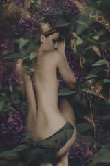 sleaping fairy