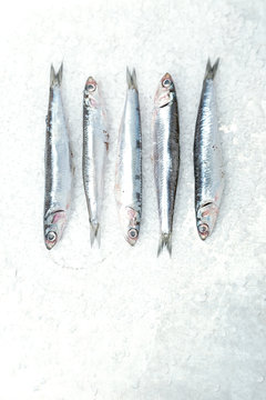 Sardinen