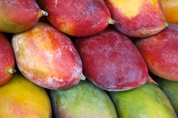 Fresh Colorful Mangoes Tropical Fruit Farmers Market