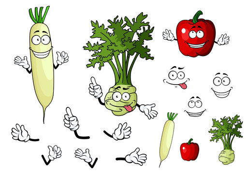 Turnip, radish and pepper vegetables
