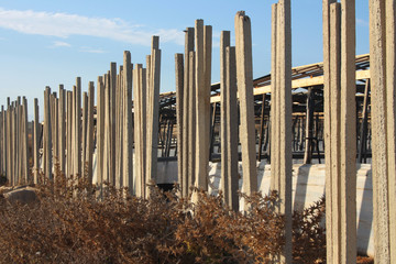 protezione coltivazioni in Serra a Santa Croce Camerina