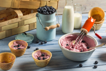 Yogurt mixed with blueberries as ice cream
