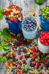 Closeup of collecting fresh wild berries