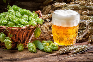 Small beer with a large foam surrounded by hops