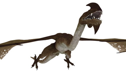 ドラゴン
