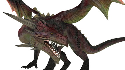 ドラゴン