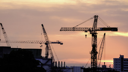 Obraz premium Tower crane