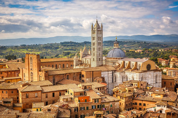 Aerial view of Siena - obrazy, fototapety, plakaty