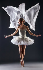 Studio shot of flexible young female ballet dancer