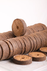 coconut tablets for growing