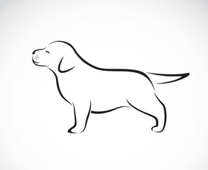 Vector image of labrador puppies