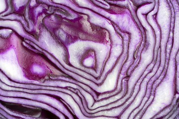 red cabbage