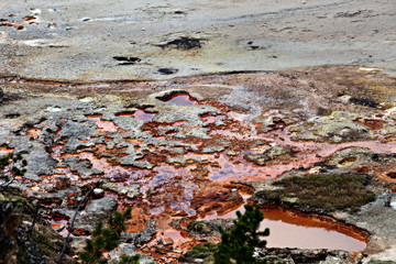 Yellowstone Geothermal Pool