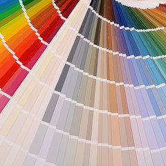 The color palette as a background