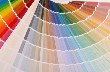 The color palette as a background