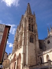 Catedral