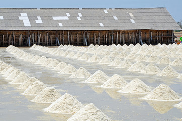 Sea salt farming.