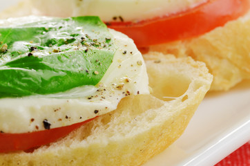 Caprese sandwiches with mozzarella