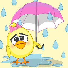 Chicken girl with umbrella