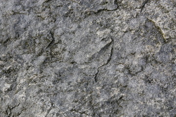 textur 5.0