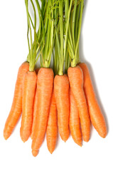 Bunch of carrots