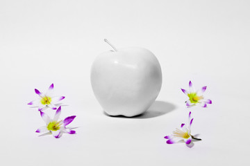 White Apple on White with small purple flower blossoms against a white background.