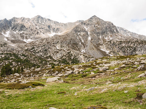 Baumgrenze