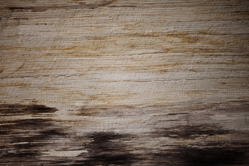 Obraz premium Wood texture