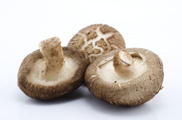 Shitake Mushrooms