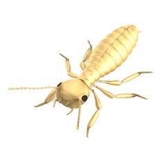 realistic 3d render of termite nymph