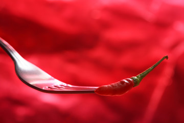 Red hot chili pepper pricked on the steel fork isolated