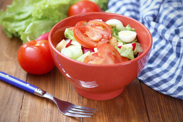 salad with vegetables