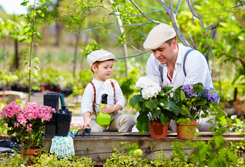 father and son care for plants in the garden