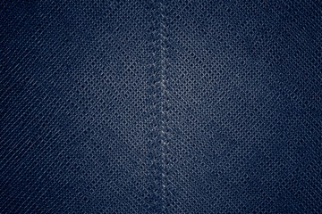 seamless blue leather texture