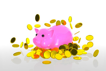 Coin collector pig