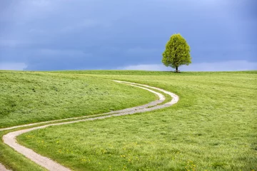 Baum im Frühling vor Gewitterhimmel © Harald Biebel