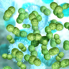 Enterokokken - 3d Render