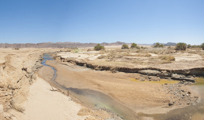 Small stream going through desert oasis